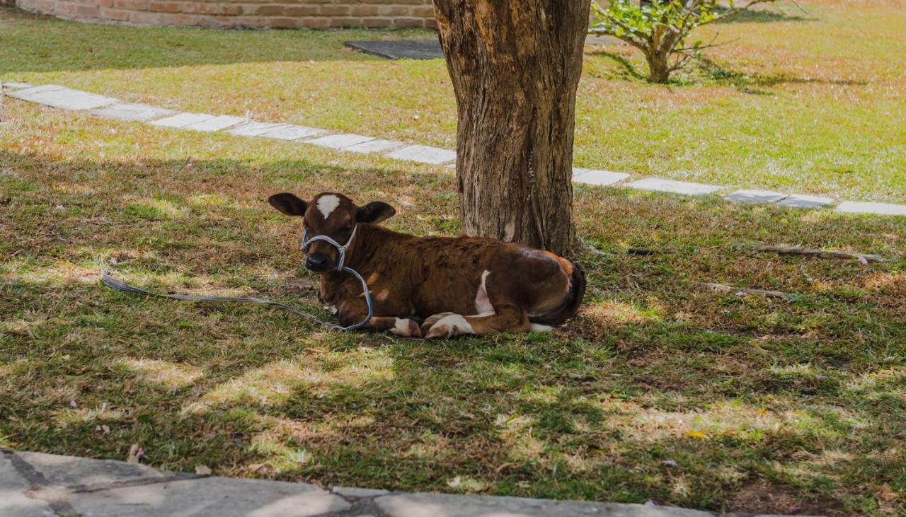 Hotel Casa Grande Gravata Ngoại thất bức ảnh